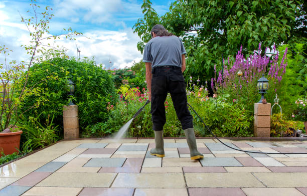 Best Driveway Pressure Washing  in Ripon, CA